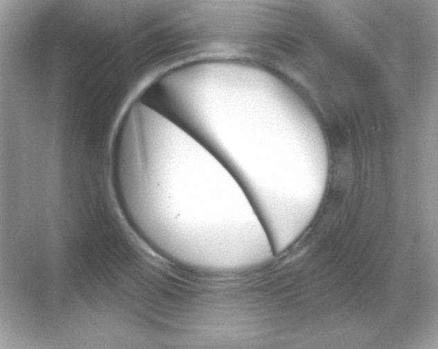 X0000068891467200605051102