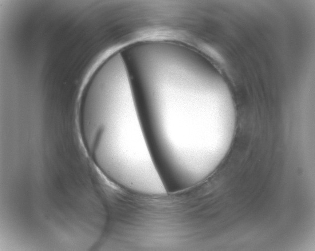 X0000068891472200605051102