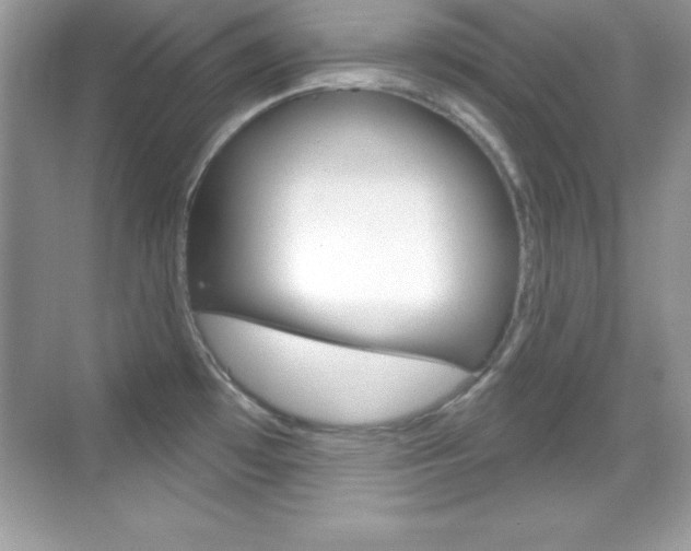 X0000068891481200605051102