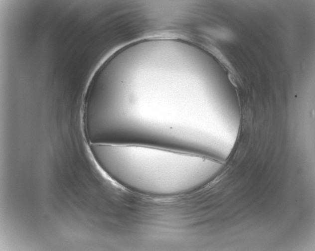 X0000068891484200605051102