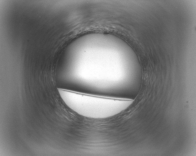 X0000068891490200605051101