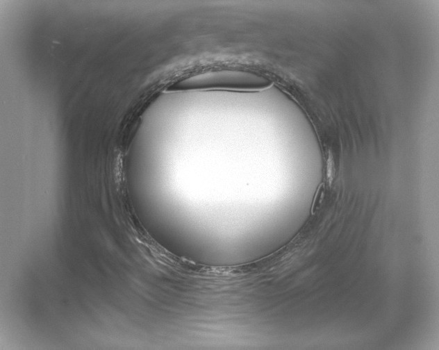 X0000068891492200605051101