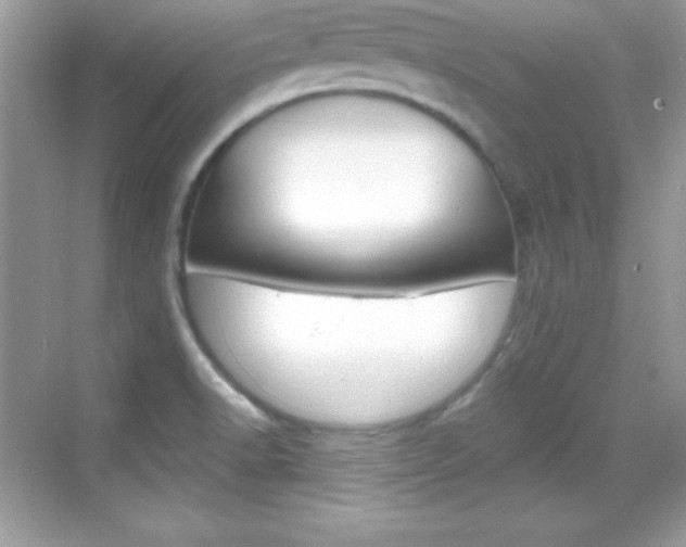 X0000068891518200605051102