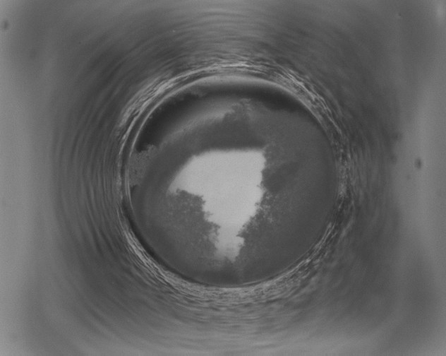 X0000068890002200605051409