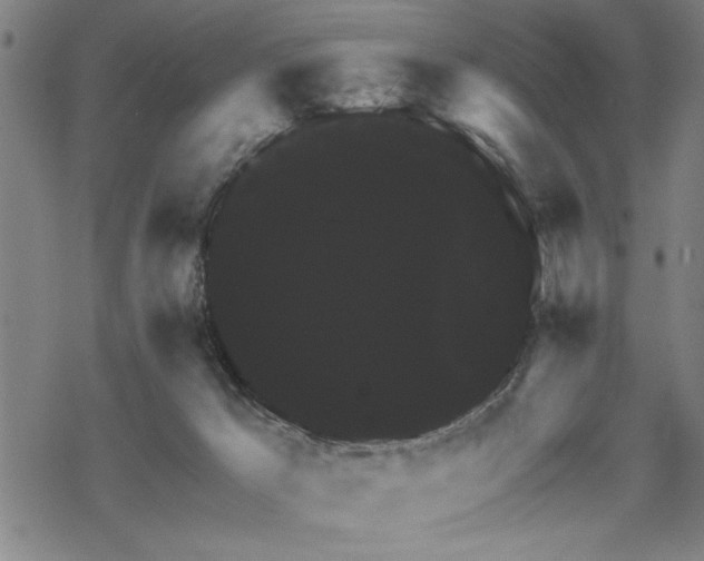 X0000068890029200605051409