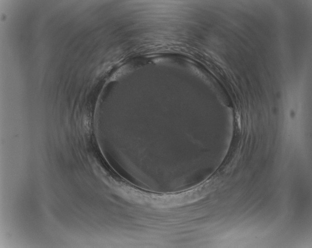 X0000068890039200605051408