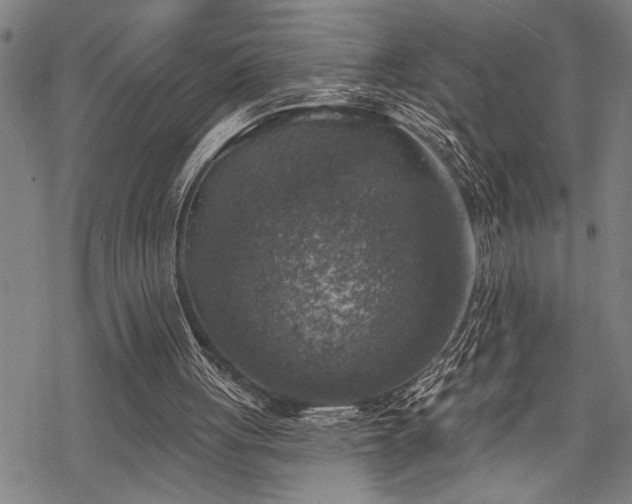 X0000068890051200605051408