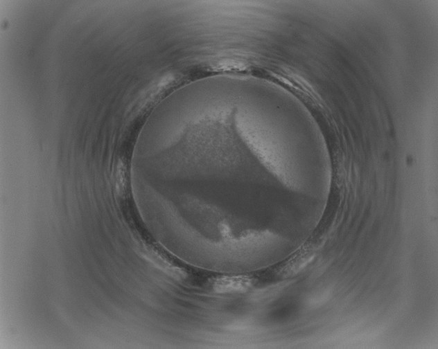 X0000068890077200605051408