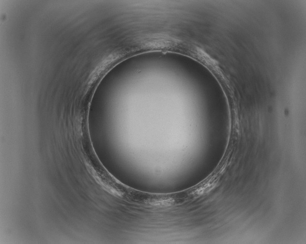 X0000068890106200605051407