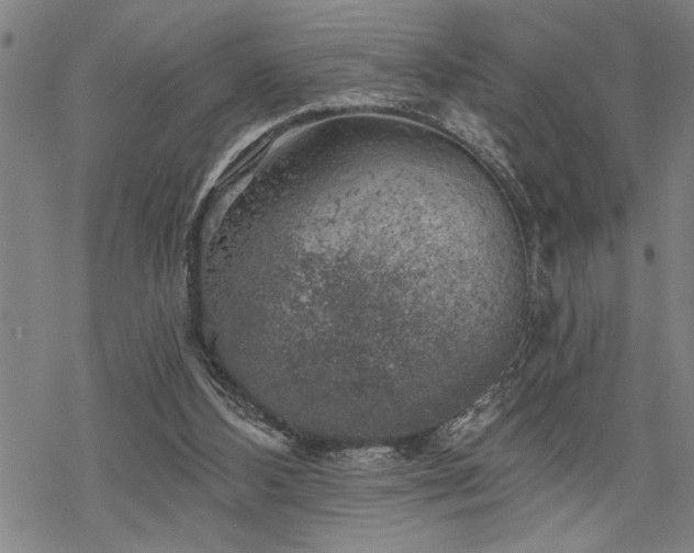 X0000068890108200605051407