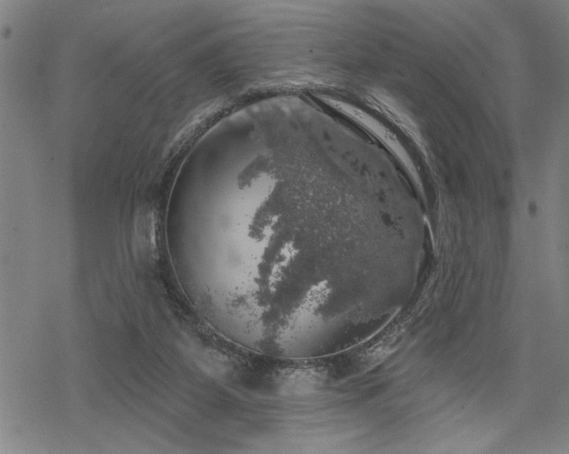 X0000068890115200605051407