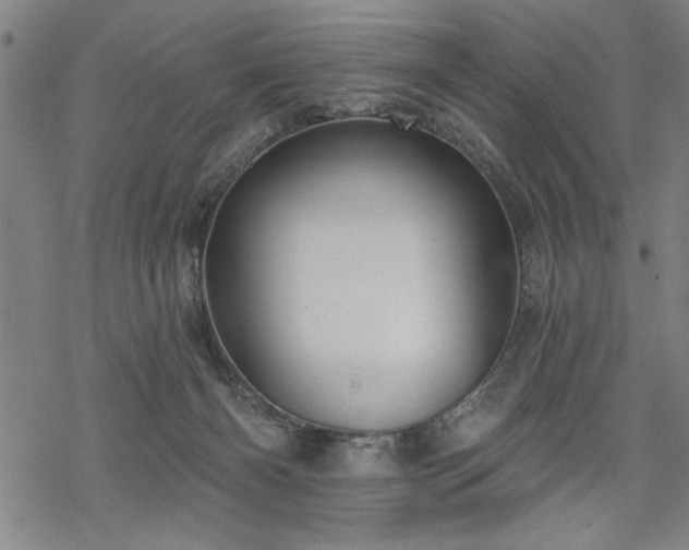 X0000068890126200605051407