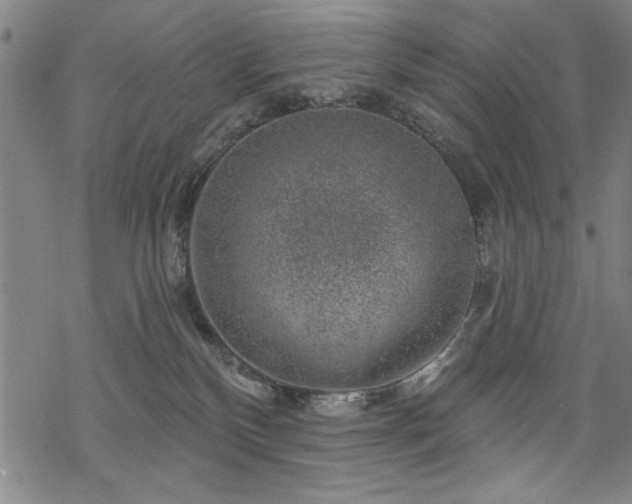 X0000068890136200605051407