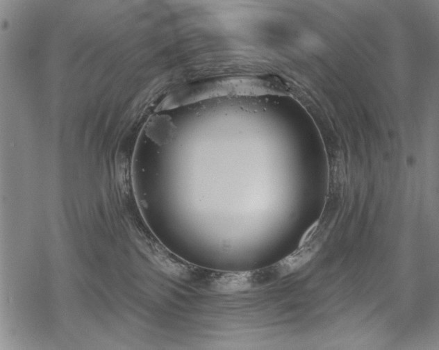 X0000068890138200605051407