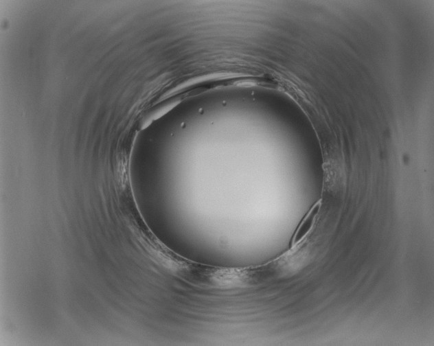 X0000068890142200605051407