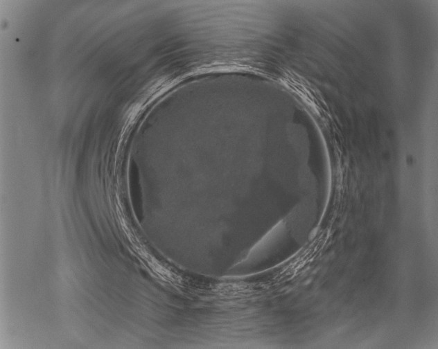 X0000068890145200605051406