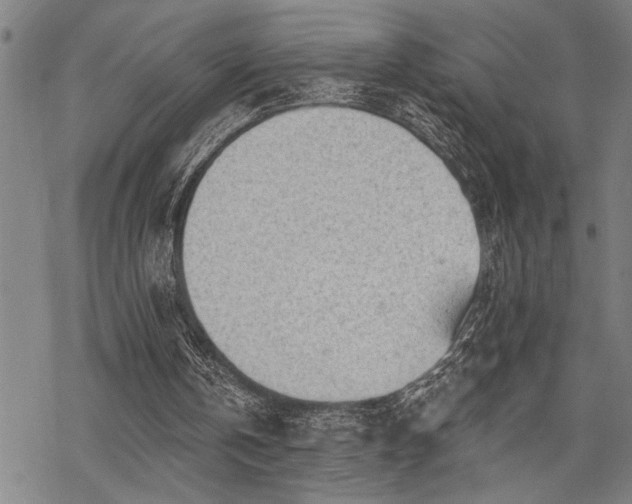 X0000068890146200605051406