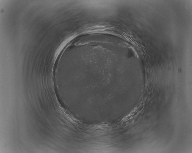 X0000068890147200605051406