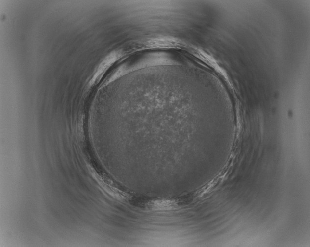 X0000068890154200605051406