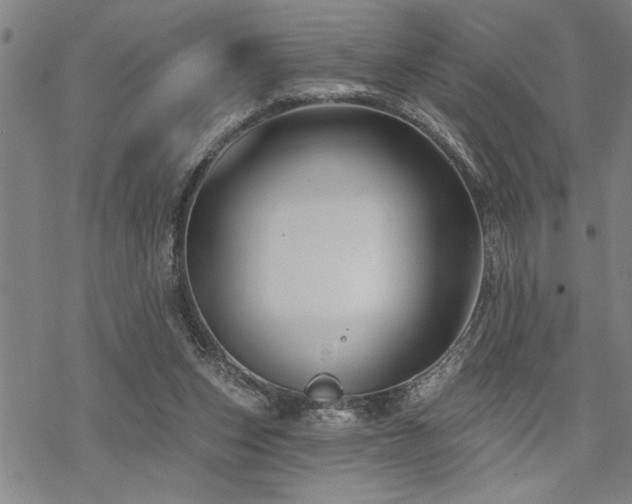 X0000068890159200605051406