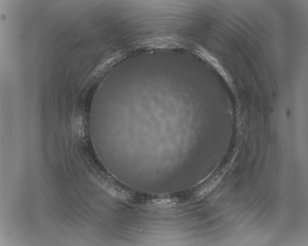 X0000068890161200605051406