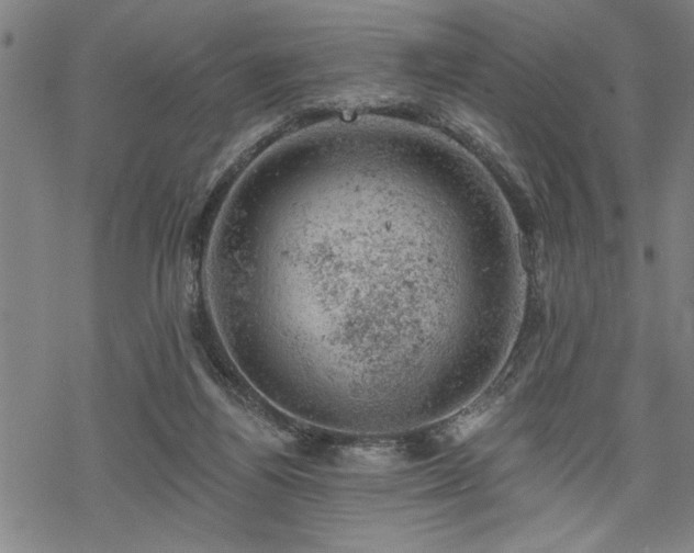 X0000068890164200605051406