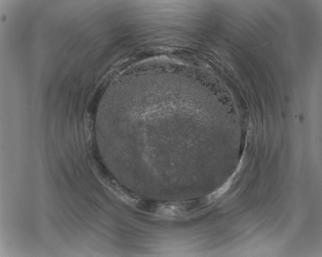 X0000068890174200605051406