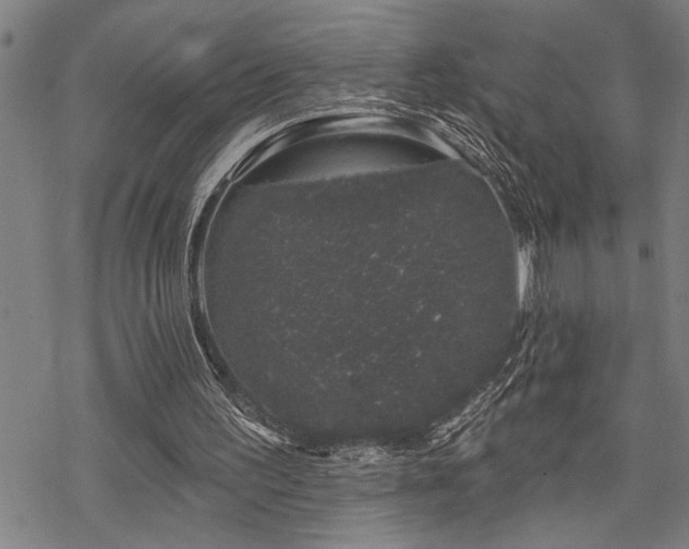 X0000068890195200605051406