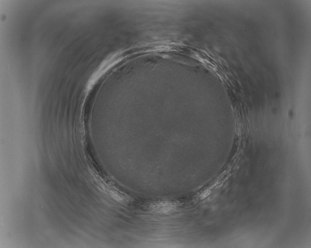 X0000068890198200605051406