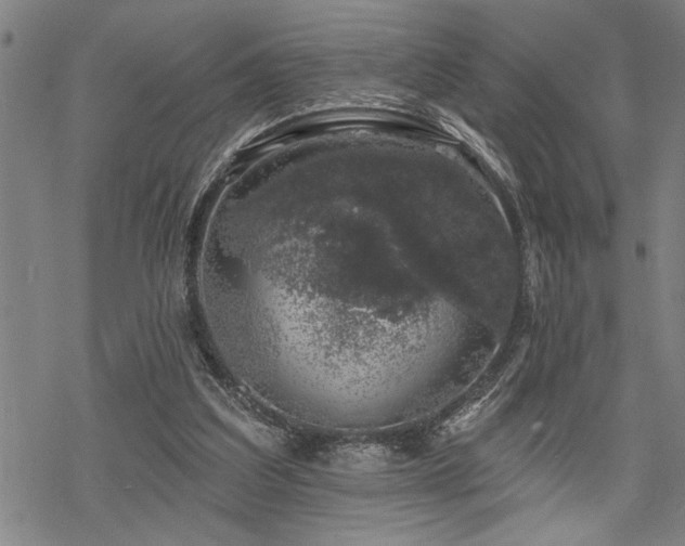 X0000068890203200605051406