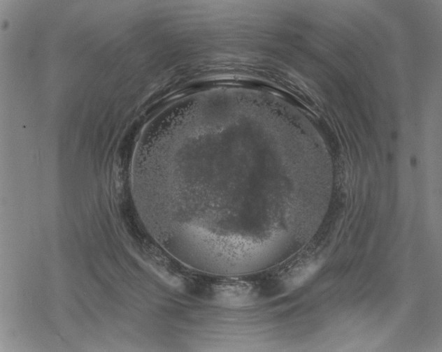 X0000068890215200605051406