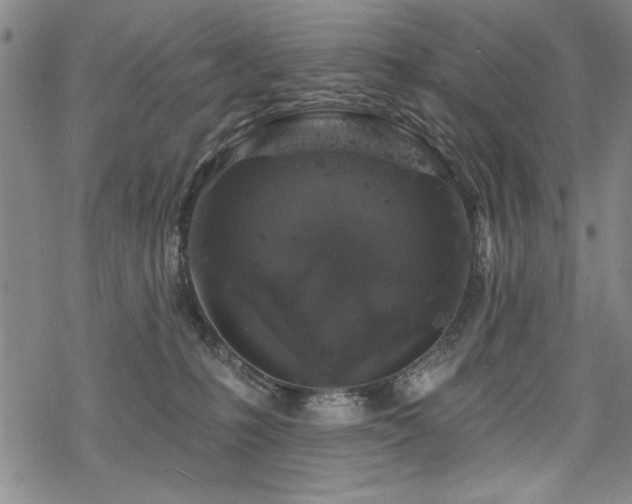 X0000068890231200605051405