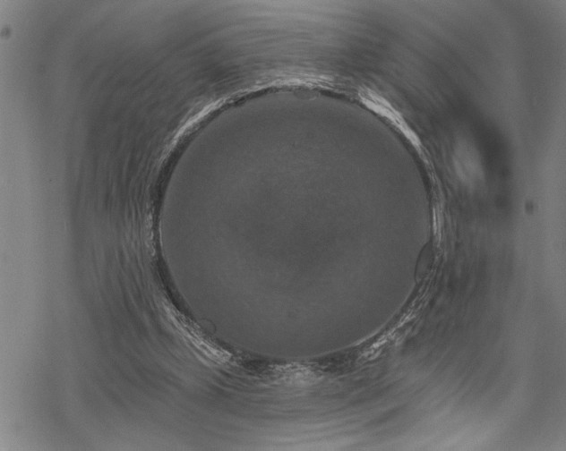 X0000068890249200605051405