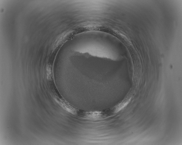 X0000068890288200605051405