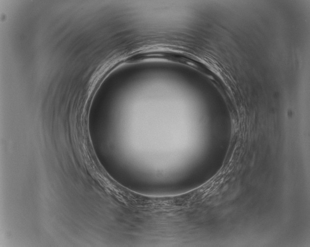 X0000068890289200605051404