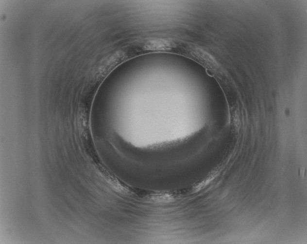 X0000068890322200605051404