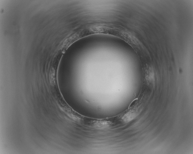 X0000068890332200605051404