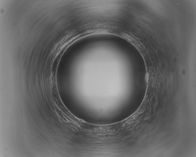 X0000068890338200605051403