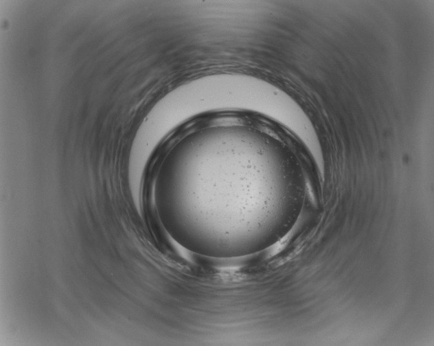 X0000068890376200605051403