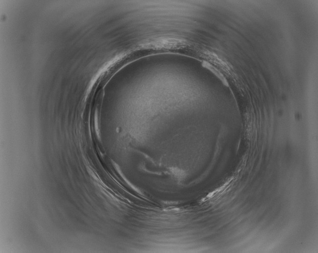 X0000068890392200605051403