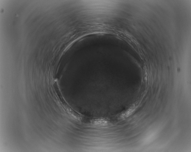 X0000068890471200605051402