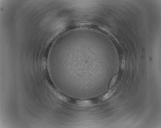 X0000068890476200605051402