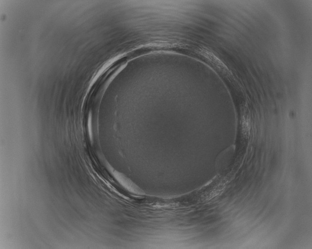 X0000068890484200605051401