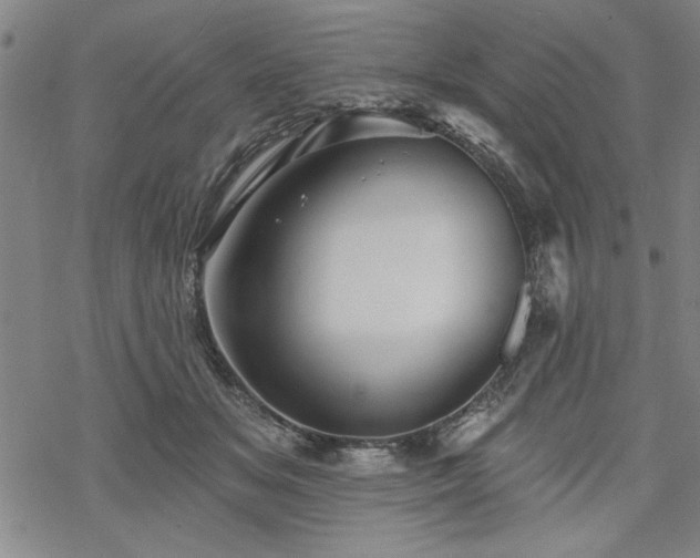 X0000068890509200605051401