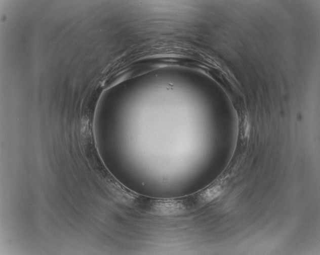 X0000068890521200605051401