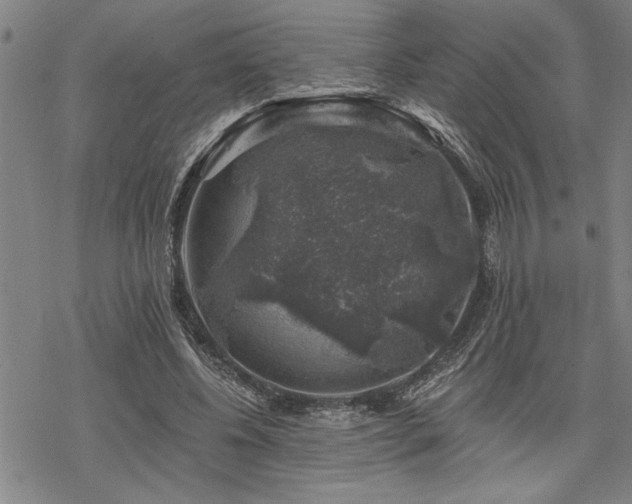 X0000068890540200605051400