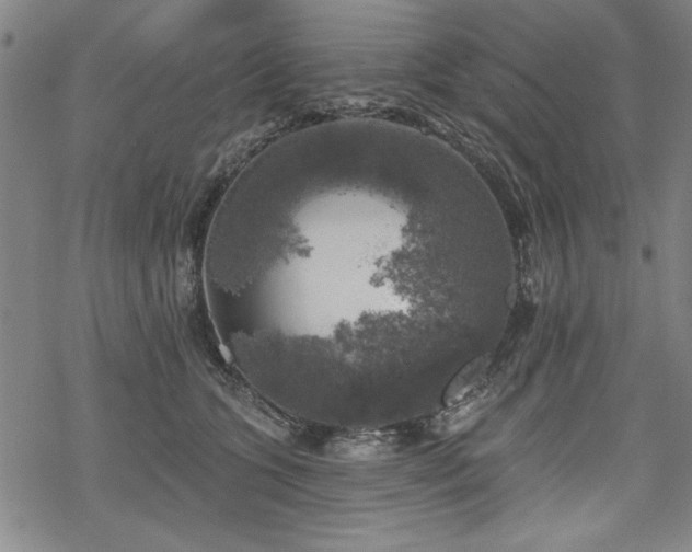 X0000068890563200605051400