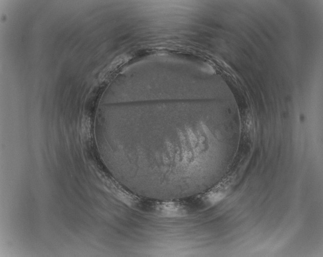 X0000068890565200605051400