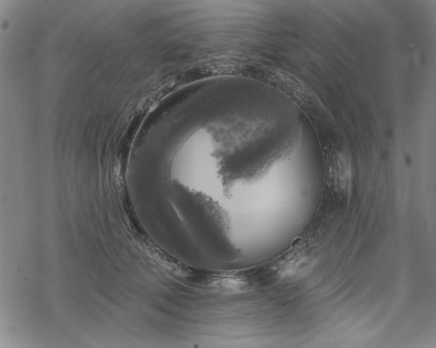 X0000068890610200605051359