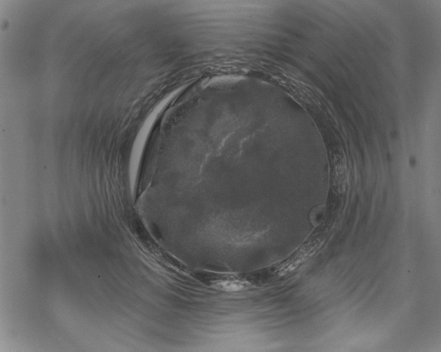 X0000068890654200605051359